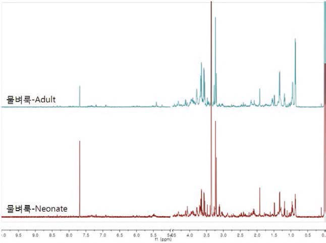 NMR spectrum of invertbrate.
