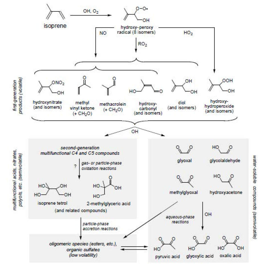 SOA 생성 시 isoprene의 산화과정 (Carlton et al. 2009)