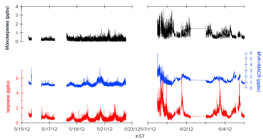 2012년 관측 기간 동안의 BVOC 농도의 변화