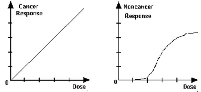 발암성 물질과 비발암성 물질의 용량-반응 관계 곡선.