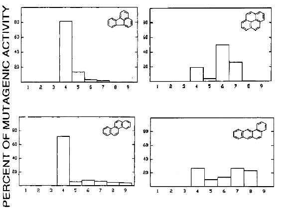 반응 챔버에서 기체상 (a) Flouranthene. (b) Pyrene, (c) Chrysene과 (d) Benz(a)anthracene의 OH 라디칼의 광화학반응에서 생성된 이차물질들 (오른쪽)의 돌연변이적 활성도