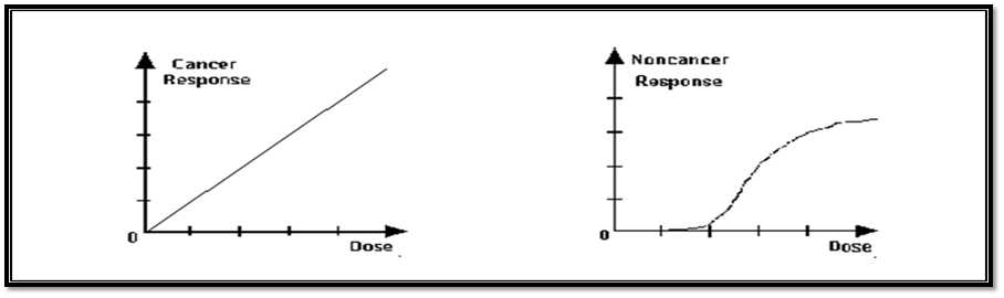 발암성 물질과 비발암성 물질의 용량-반응 관계 곡선.