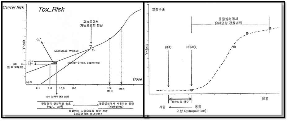 발암위해도와 위해지수의 용량-반응 관계 곡선.