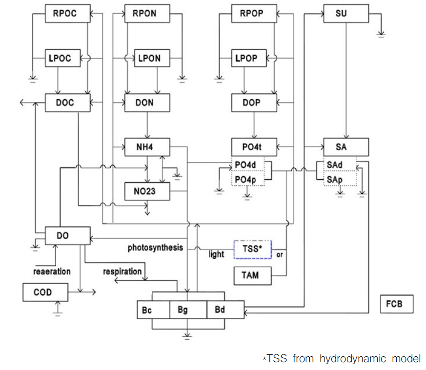 Schematic diagram of EFDC water quality model structure