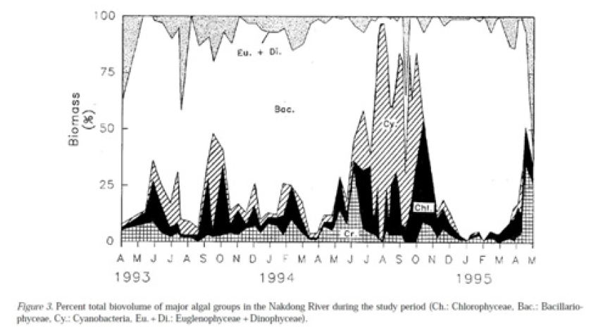 Percent total biovolume of major algal groups in the Nakdong river in 1993 to 1995