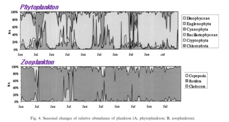 Seasonal changes of relative abundance of plankton observed at Mulgeum during five years (1994-98)