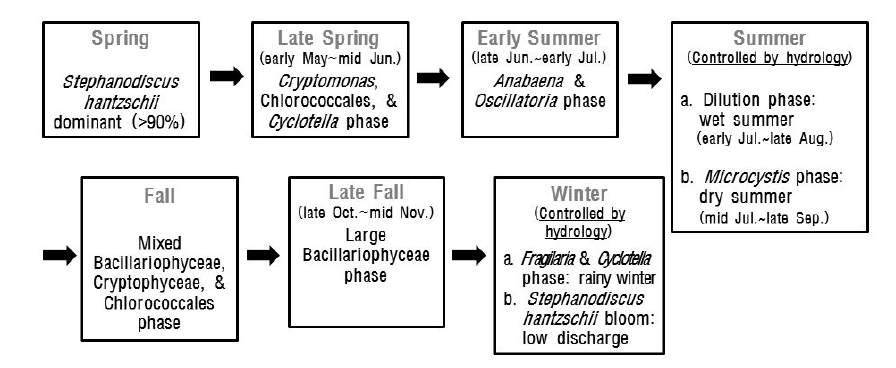 Seasonal algal succession pattern in the lower reach of the Nakdong River