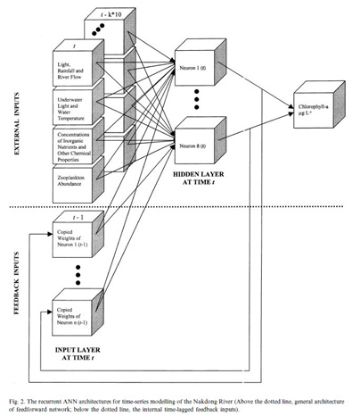 The recurrent ANN architectures for time-series algal modeling of the Nakdong River