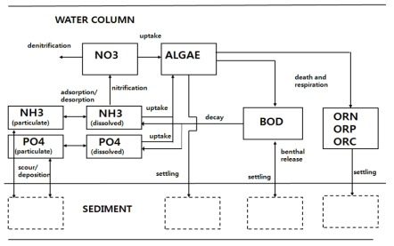 A summary on the water quality cycle of HSPF model