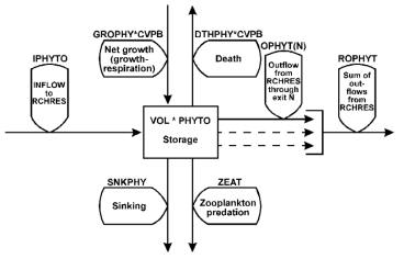 A flow diagram for phytoplankton in the PLANK section of HSPF model