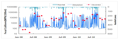 Comparison of observed and simulated coliform levels