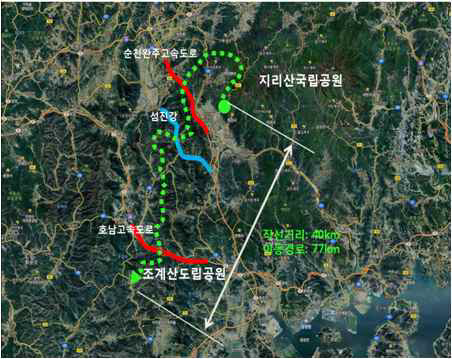 Dispersal route of Yellow-throated marten