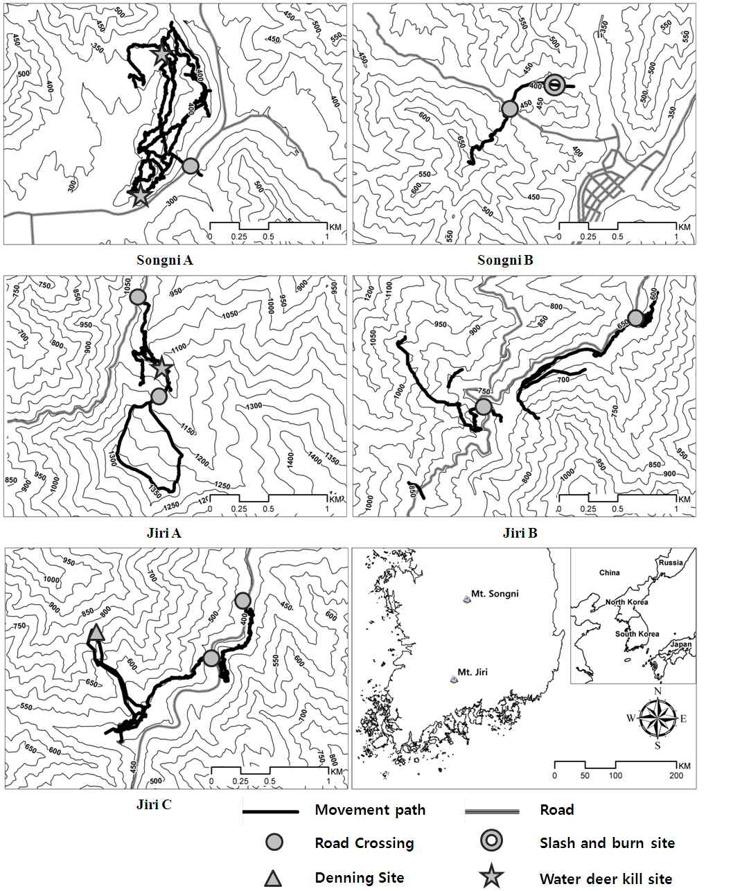 Locations and snow tracks of yellow-throated marten in Songi and Jiri mountain areas