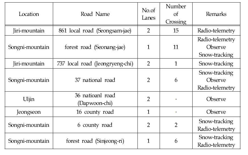 Road Crossing pattern of Yellow-throated marten