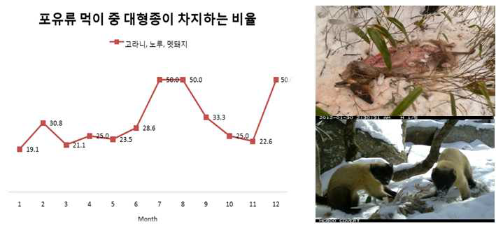 Variation of mid-large sized prey item proportion (Left), Hunting place of Yellow-throated marten (Right)