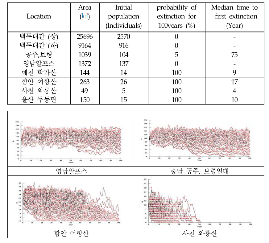 Population simulation of Yellow-throated marten in fragmented habitat