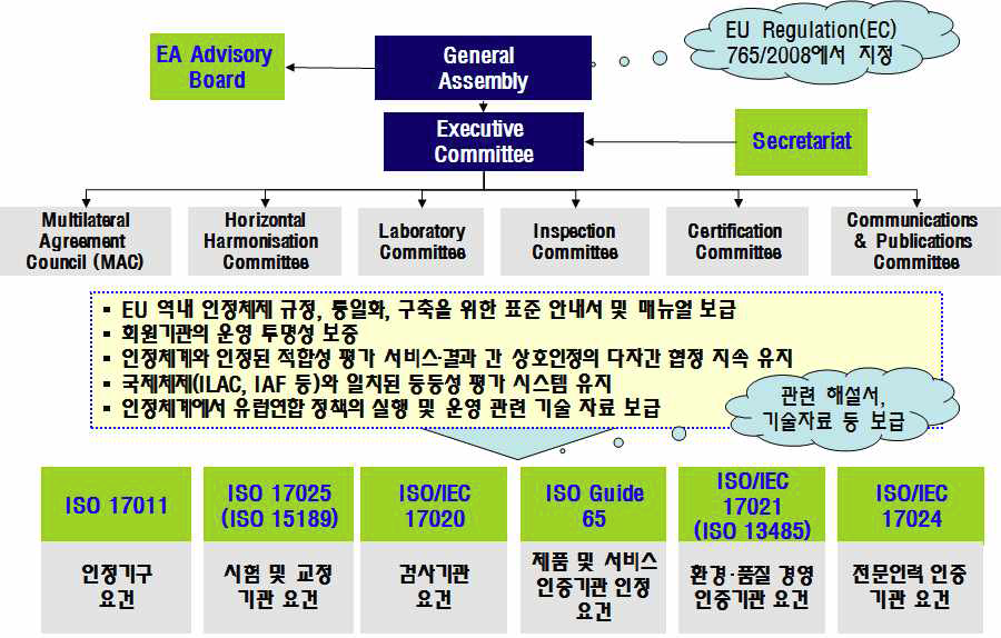 EA 조직 및 기능