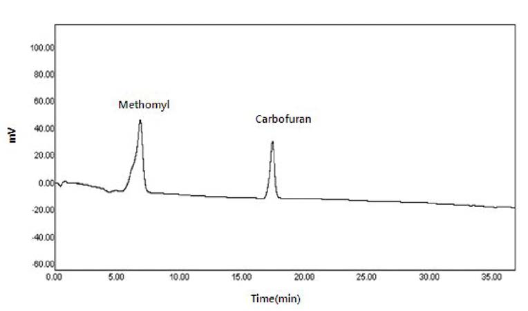 표준물질의 HPLC/FLD 크로마토그램(MethLomyl, Carbofuran)