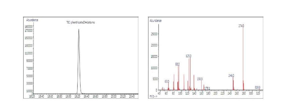 분석대상 농약의 단성분 Chromatogram 및 mass spectra : Phenthoate