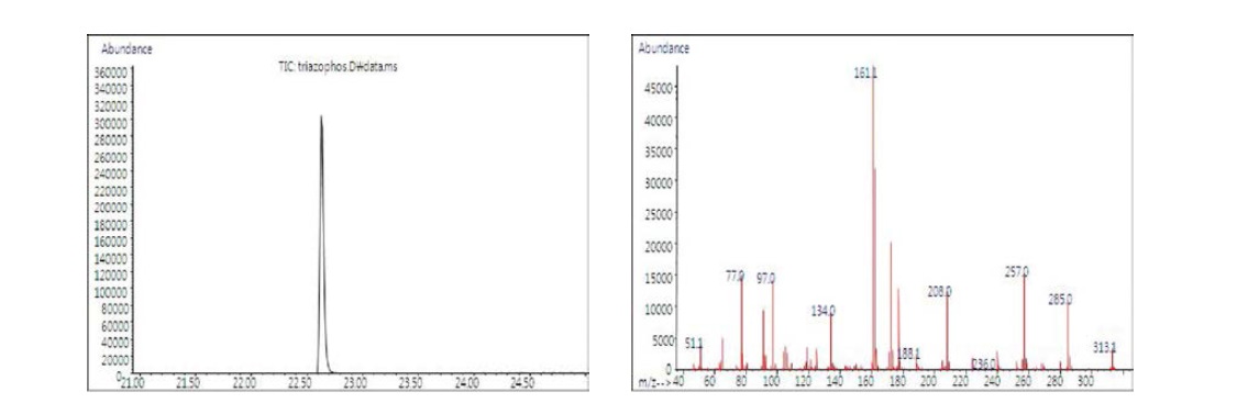 분석대상 농약의 단성분 Chromatogram 및 mass spectra : Triazophos