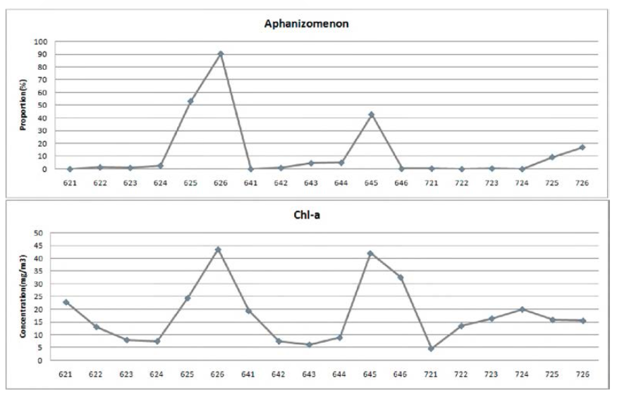 Aphanizomenon 속과 클로로필 a의 변화 경향 비교.