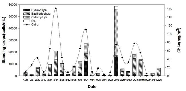 Biweekly variation of phytoplankton community and chlorophyll-a concentration of Sungchon weir in 2011