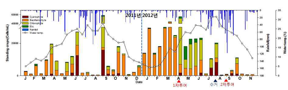 Monthly variation of phytoplankton community and physical factors at field test site in 2011 and 2012