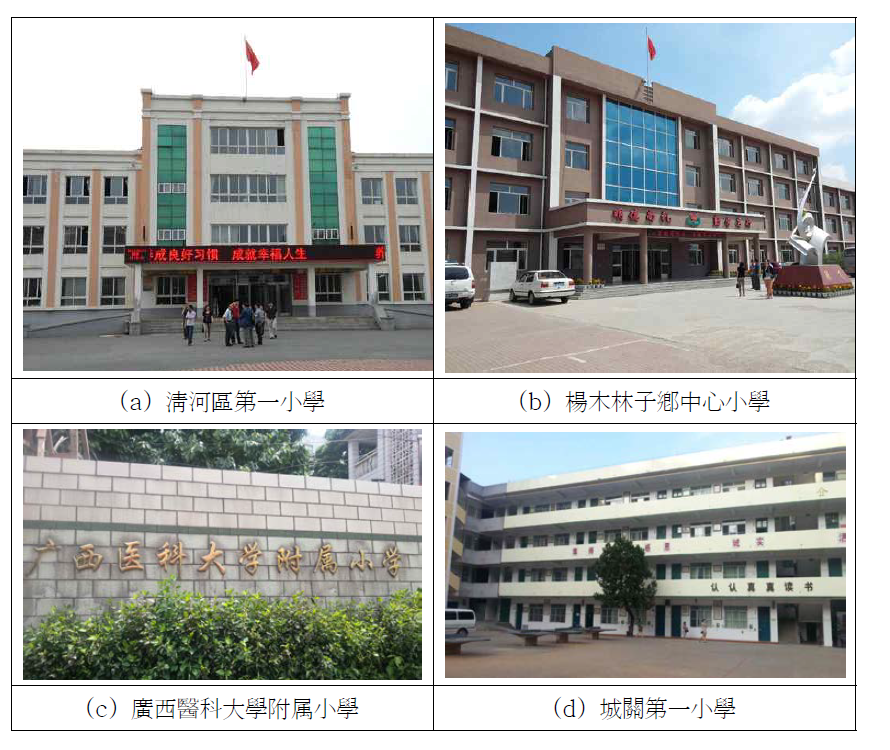 Surveyed elementary schools in China.