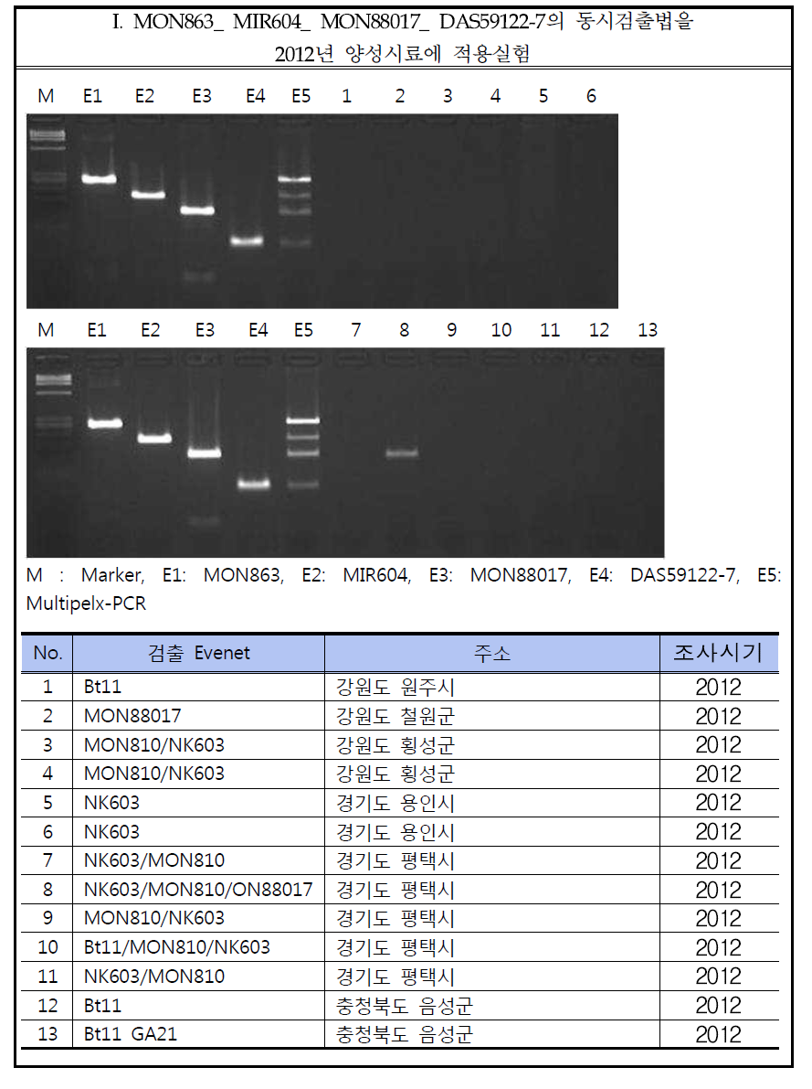 Result of practical use of multiplex gene, ON863-MIR604-MON88017-DAS59122.