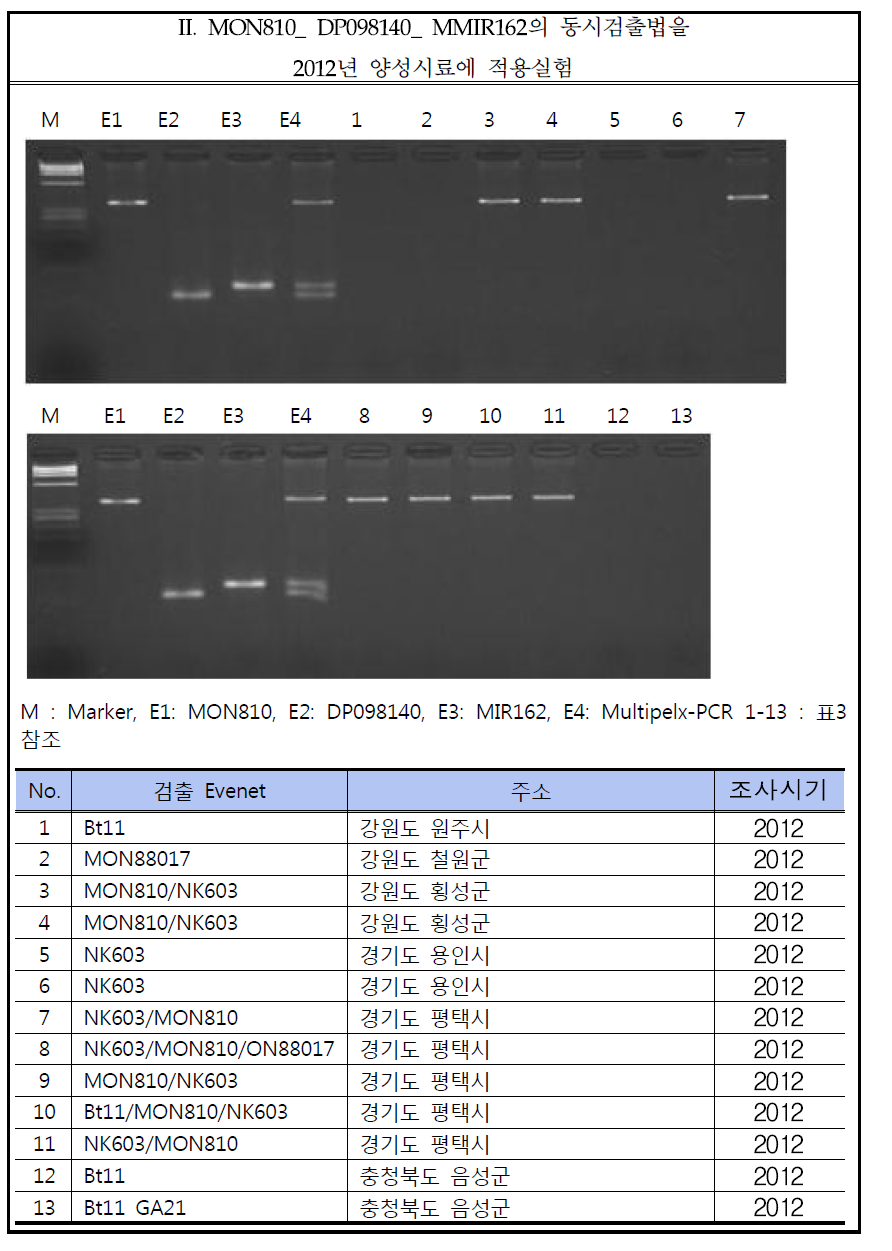 Result of practical use of multiplex gene, MON810-098140-MIR162.