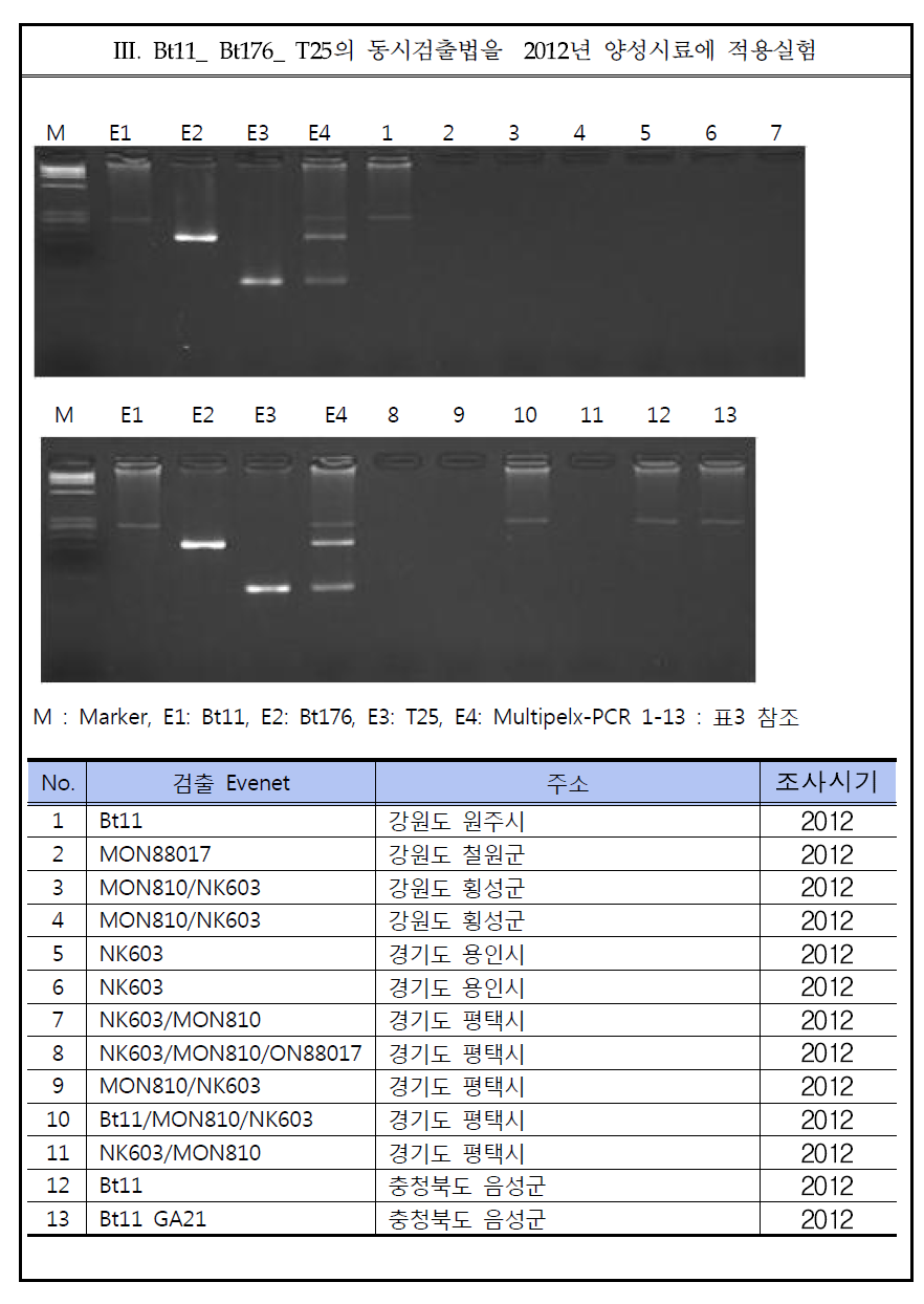 Result of practical use of multiplex gene, Bt176-Bt11-T25.