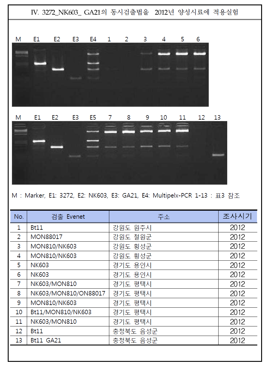 Result of practical use of multiplex gene, 3272-NK603-GA21.