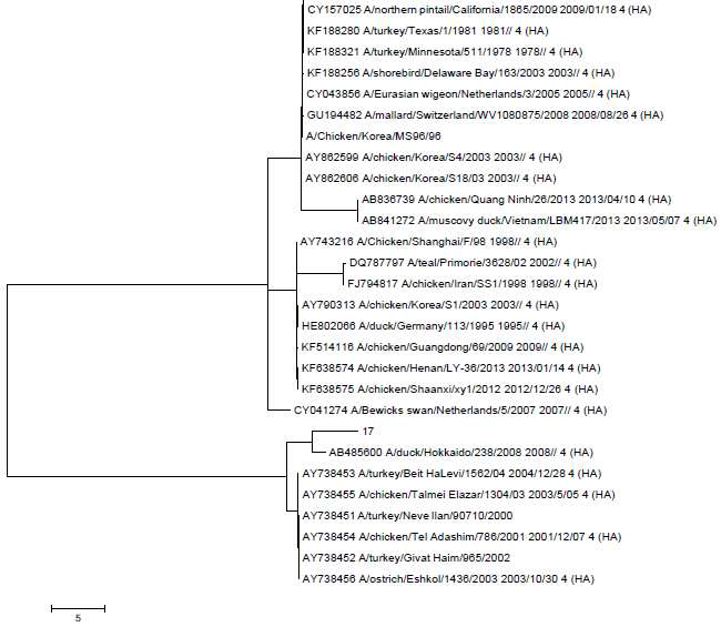 Phylogenetic relationship of H9 genes of H9N2 subtype viruses.