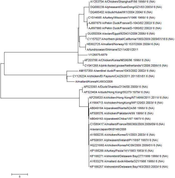 Phylogenetic relationship of N2 genes of H9N2 subtype viruses.