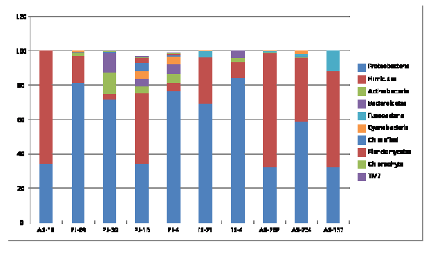 Relative abundance of microbial phyla identified in fecal samples of wild birds.