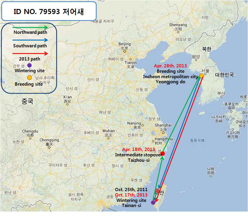 Migration route between wintering site and breeding site of blackfaced spoonbill