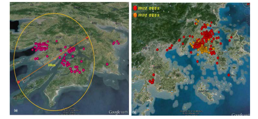 Habitat of blackfaced spoonbill(ID No. 79594) in Korea(a) and China(b) in 2013