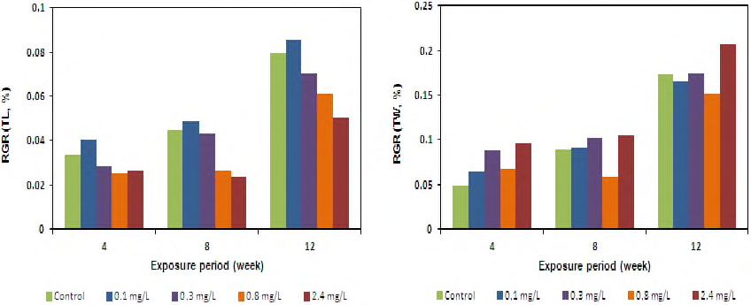 Relative grow th rate o f total weight and total length change in the C. carpio exposed to nZnO for 12 weeks.