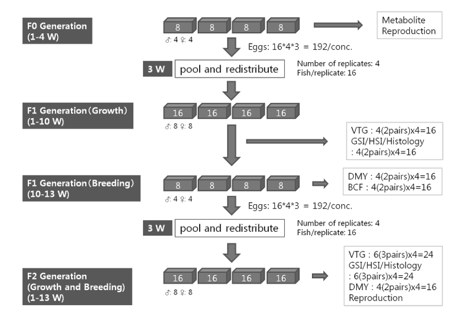 Diagram of fish multi-generation toxicity tests in this study.