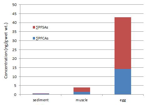 Average levels of ΣPFSAs and ΣPFCAs in the sediment, and muscle and egg of crucian carp.
