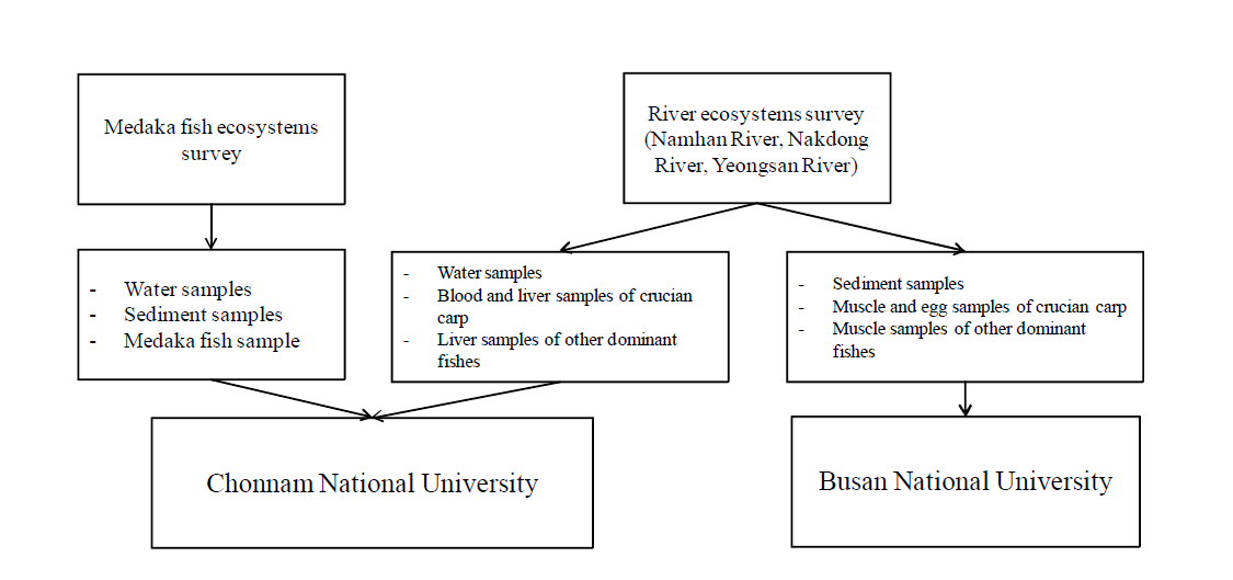 Sample collection and analysis scheme.