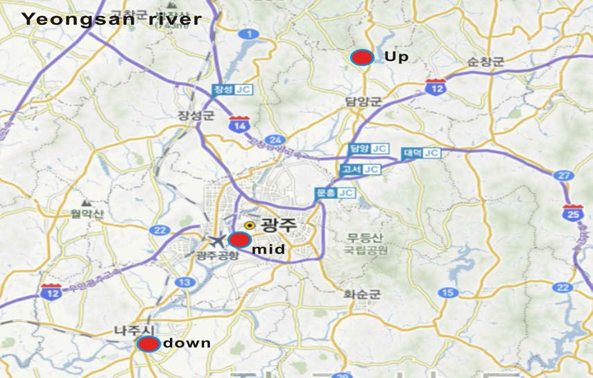 Sampling sites in Yeongsan River.