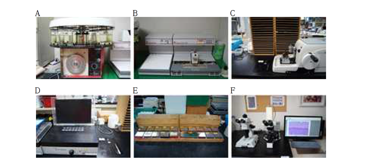 Process of light microscopy.