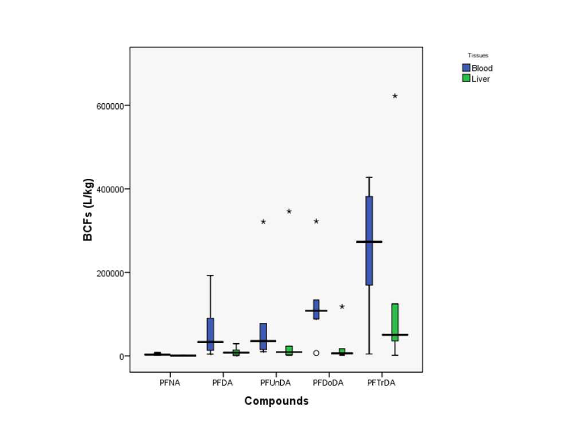 BCF trend of PFCAs (C9-C13) in crucian carp tissues.