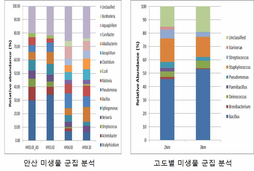 안산 지역 지상(좌) 및 고도별(우) 미생물 군집 분석