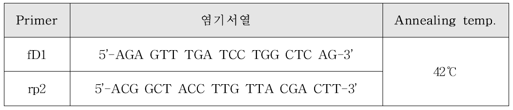 PCR을 위해 사용한 primer