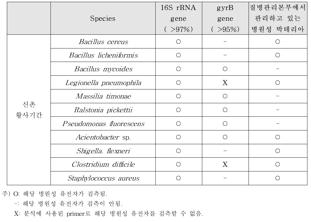 기능성 gyrB 유전자 분석