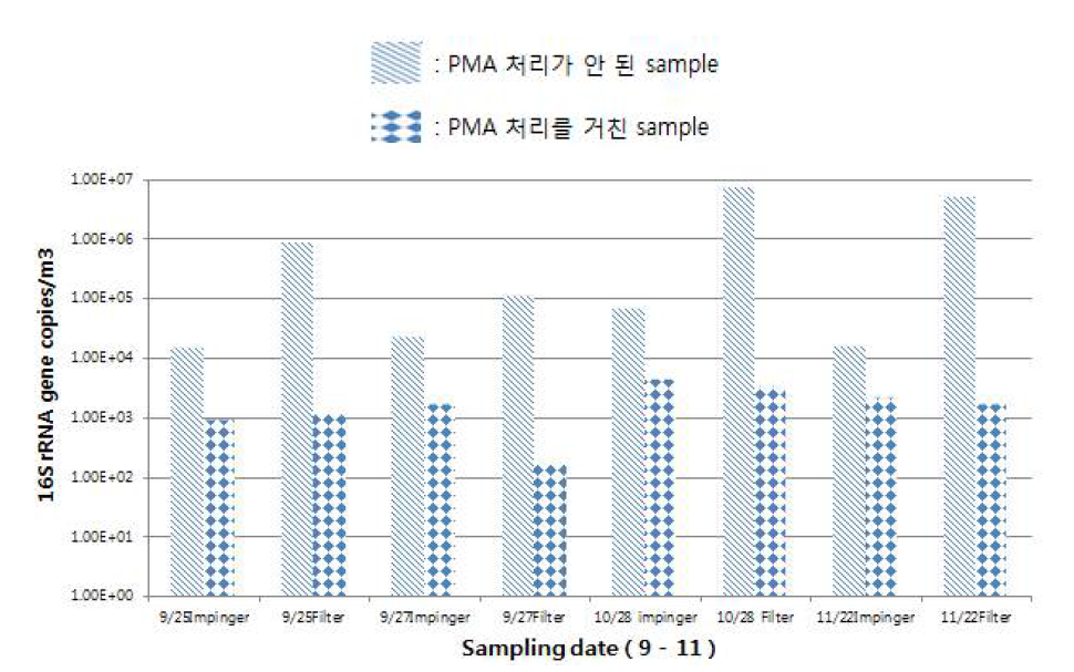 Impinger와 Filtration 방법의 포집된 박테리아 16S rRNA 유전자 수와 활성 박테리아 (PMA 전 처리)의 비율 비교