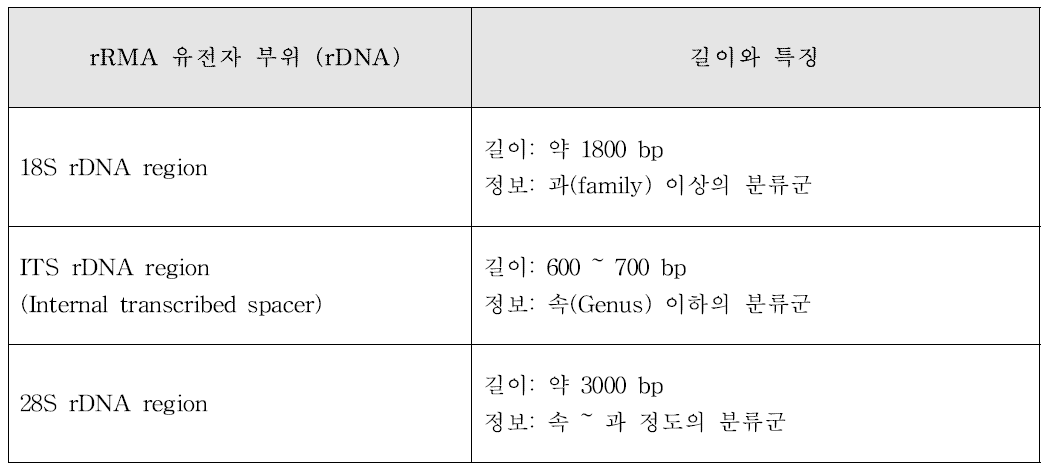 진균의 동정과 분류를 위한 rDNA영역의 특징