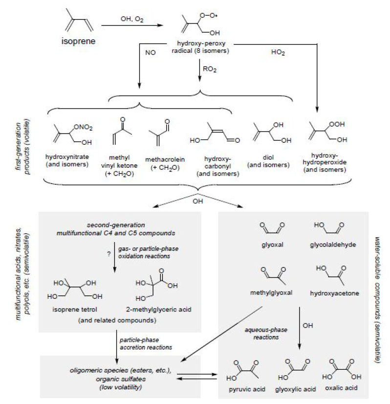 isoprene이 산화되며 이차유기에어로졸(SOA)로 변환되는 과정